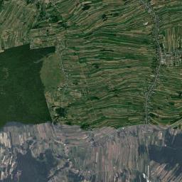 Kamień Satellite Map