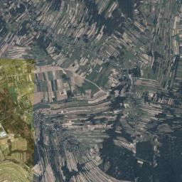 Dzikowiec Satellite Map