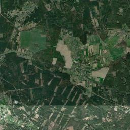 Satelita