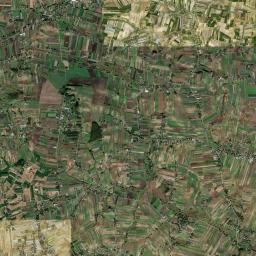 Satelita