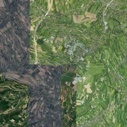 Boguchwała Satellite Map