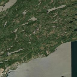 Springdale Satellite Map