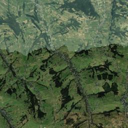 Satelita