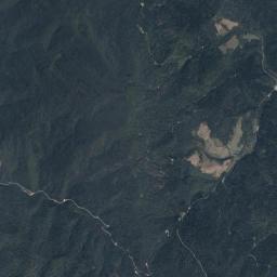 Satelita