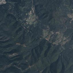 Satelita