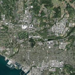 Bellingham Satellite Map