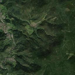 Weisenbach Satellite Map