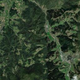 Oppenau Satellite Map