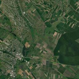 Briceni Satellite Map