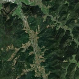 Gutach Satellite Map