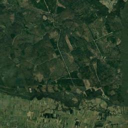 Vicovu de Sus Satellite Map