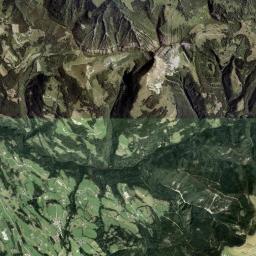 Taugl Satellite Map