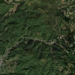 Cavnic Satellite Map