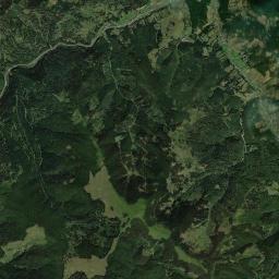 Pojorâta Satellite Map