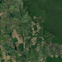 Comuna Forăşti Satellite Map