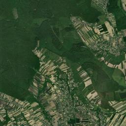 Probota Satellite Map