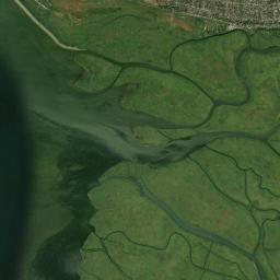 Sinyavskoye Satellite Map