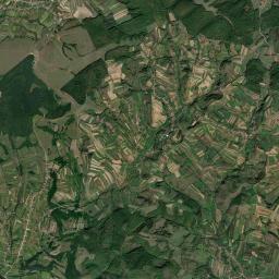 Forău Satellite Map