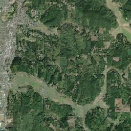 Centralia Satellite Map