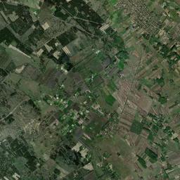 Szank Satellite Map