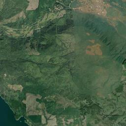 Morton Satellite Map