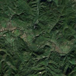 Pleşcuţa Satellite Map