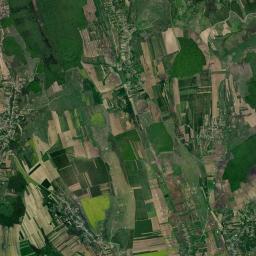 Corbasca Satellite Map