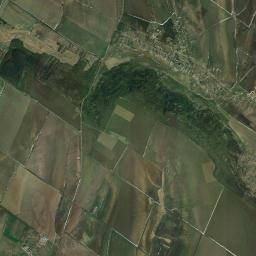 Borodino Satellite Map