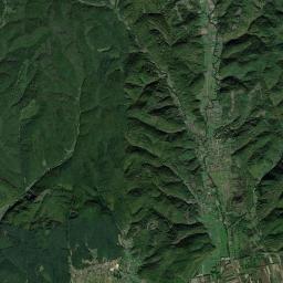 Petriş Satellite Map