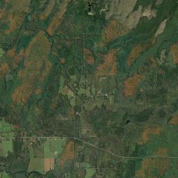 Forest County Satellite Map