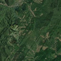 Furtunești Satellite Map