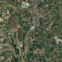 Lonigo Satellite Map