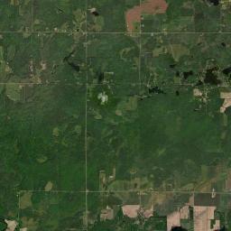 Taylor County Satellite Map