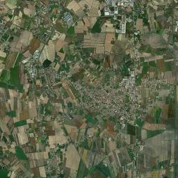 Solesino Satellite Map