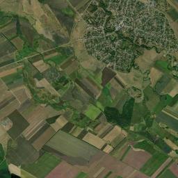 Shovgenovskiy Rayon Satellite Map