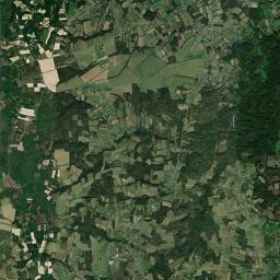 Pelagićevo Satellite Map