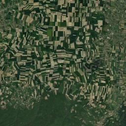 Petkovica Satellite Map