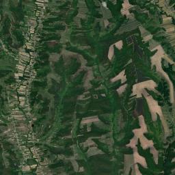 Tălpaș Satellite Map