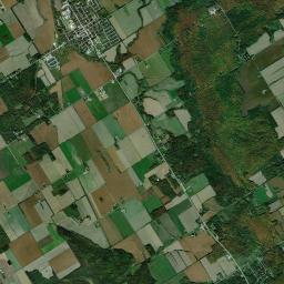 Elmvale Satellite Map