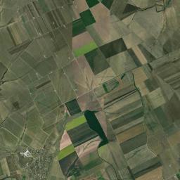 Crucea Satellite Map