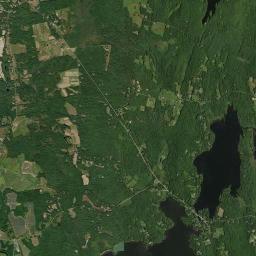 Wayne Satellite Map
