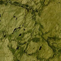 Newbridge New York Satellite Map