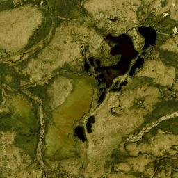 Gale New York Satellite Map