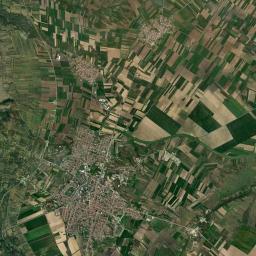 Negotin Satellite Map