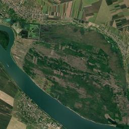 Novo Selo Satellite Map