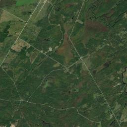 Reedville New York Satellite Map