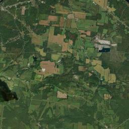 Champion New York Satellite Map