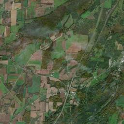 Rices New York Satellite Map