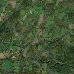 East Rodman New York Satellite Map