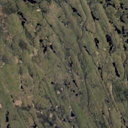 Michigan Mills New York Satellite Map